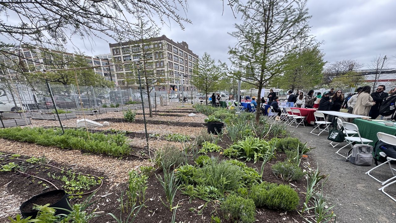 LaGuardia Community College farm grows food