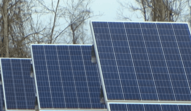 New York Senate bill could open 11,000 acres of Livingston County forest land to solar and wind development