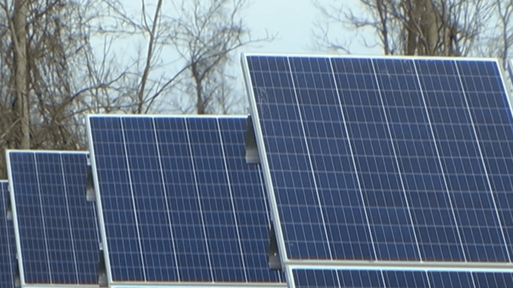 New York Senate bill could open 11,000 acres of Livingston County forest land to solar and wind development