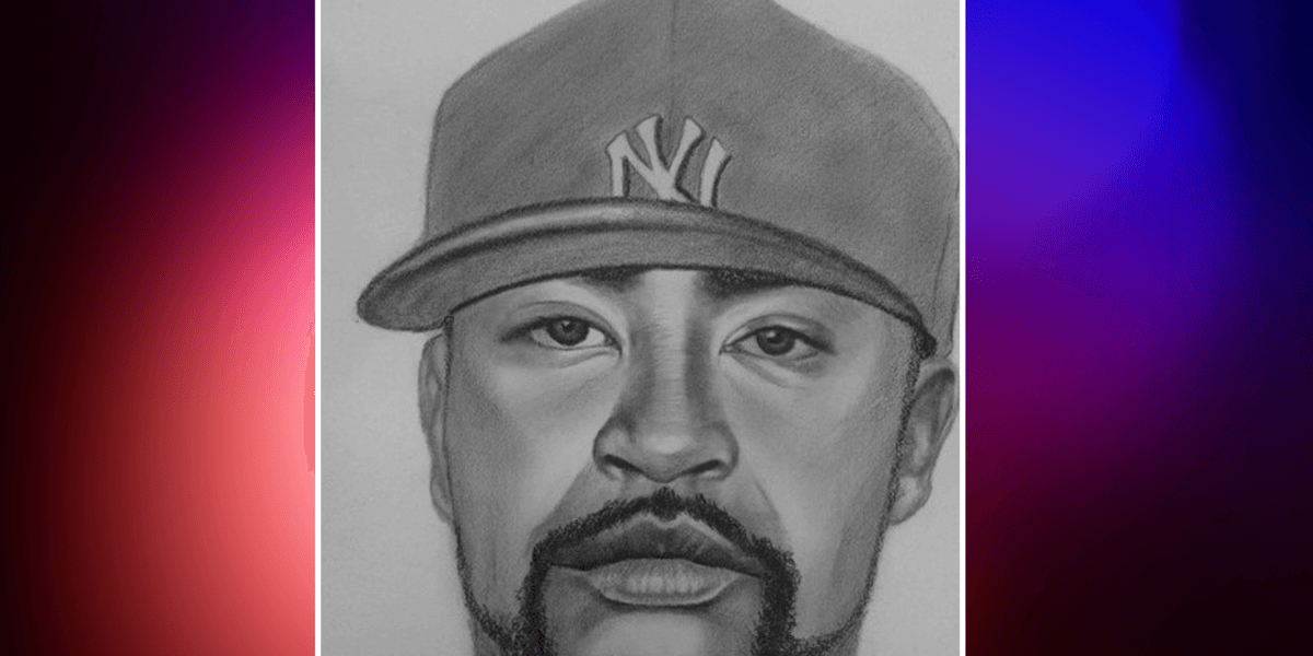 Man wanted for raping and robbing woman, 50, in Bronx attack