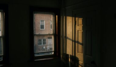 Horrific cat torture in Queens sparks outrage from LI animal advocate