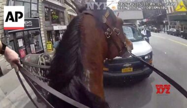 NYPD officer and his horse chase a suspected purse snatcher in Manhattan (Video)