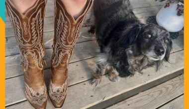 $280 Ariat Boots are worth it —even in NYC (see the new style)