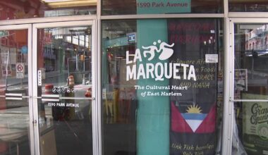 Will NYC Mayor Mamdani's city-run grocery stores be a gimmick or a solution? Depends who you ask.