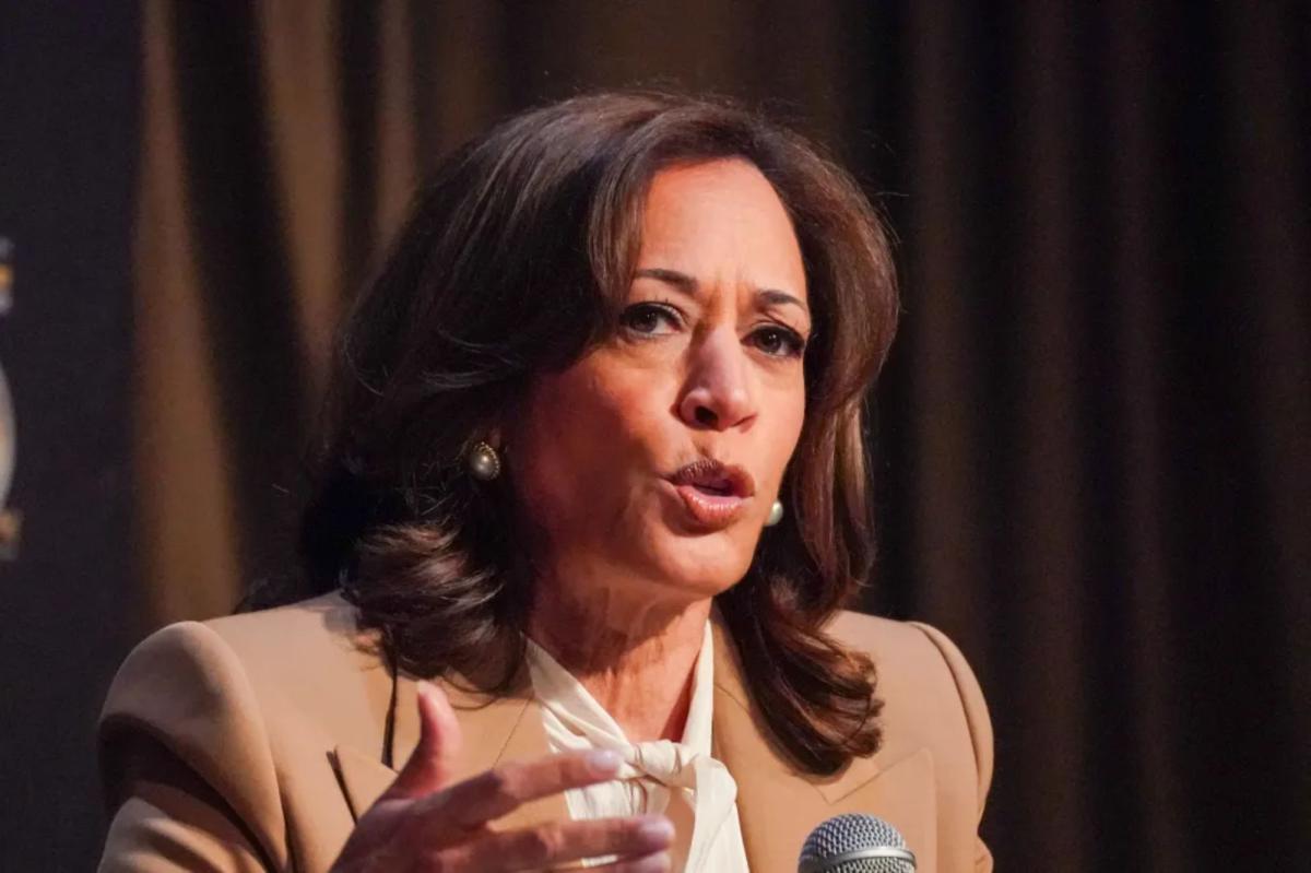 Kamala Harris said she 'might' run for president in 2028 — reveals to Al Sharpton her political comeback deliberations