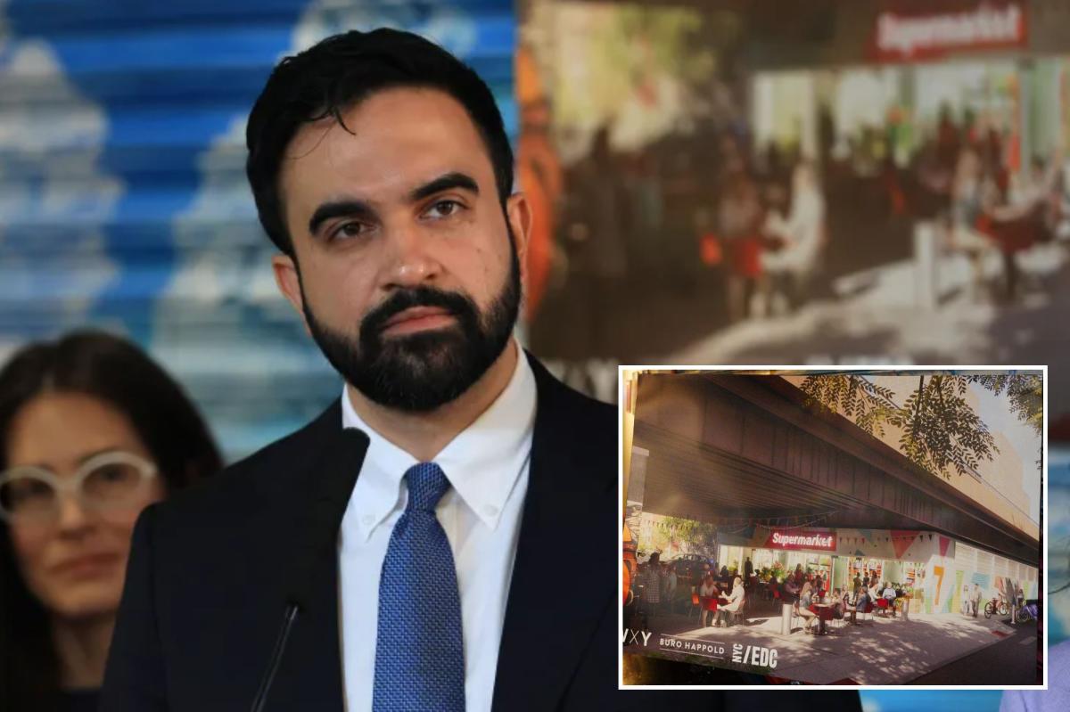 Zohran Mamdani's city-owned grocery stores will only guarantee lower prices for a core 'basket of goods'