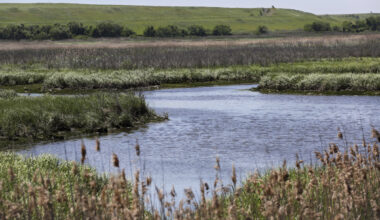 New York DEC’s wetland regs tossed by court