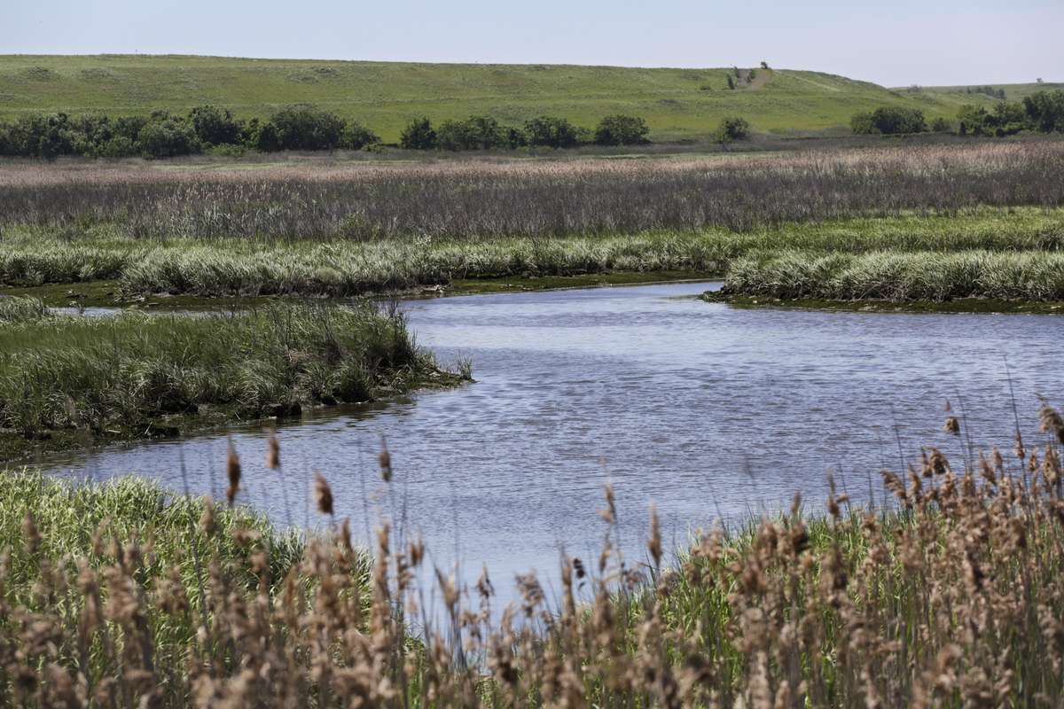 New York DEC’s wetland regs tossed by court