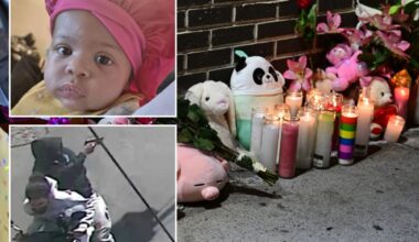 Strangle the gangs that plague NYCHA public housing — send in the dads