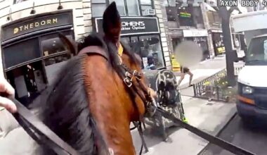 NYPD Mounted Officer Featured In Dramatic Manhattan Pursuit Of Thief On Horseback