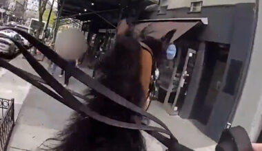 An Arrest in the Streets of New York, on Horseback