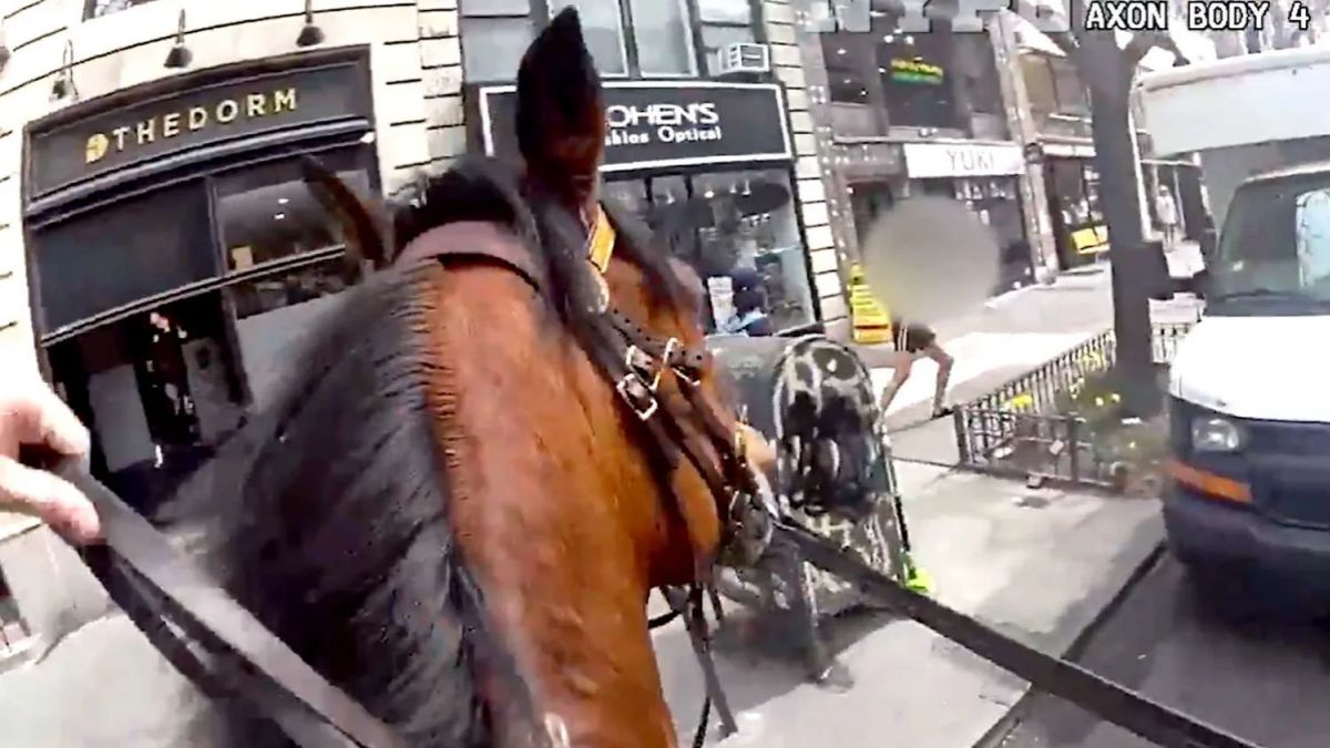 NYPD Mounted Officer Featured In Dramatic Manhattan Pursuit Of Thief On Horseback