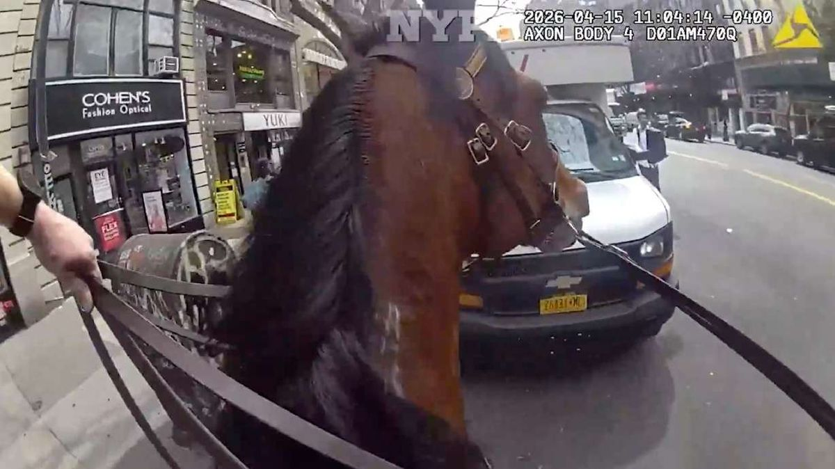 NYPD Mounted Officer Apprehends Larceny Suspect After Manhattan Pursuit