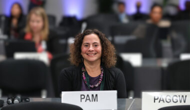 Manhattan University Professor Receives Prestigious Award from the National Model UN Conference