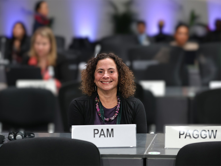Manhattan University Professor Receives Prestigious Award from the National Model UN Conference