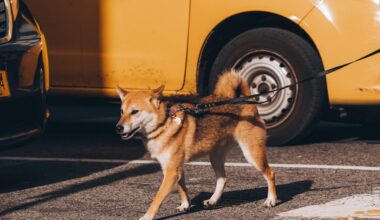 Mayor Mamdani Launches First-Of-Its-Kind NYC Child Care Website And Interactive Map