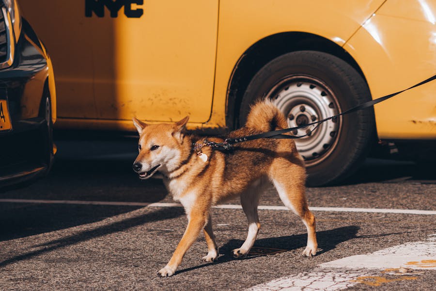 Mayor Mamdani Launches First-Of-Its-Kind NYC Child Care Website And Interactive Map