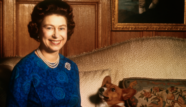 Queen Elizabeth sitting on a sofa with a corgi