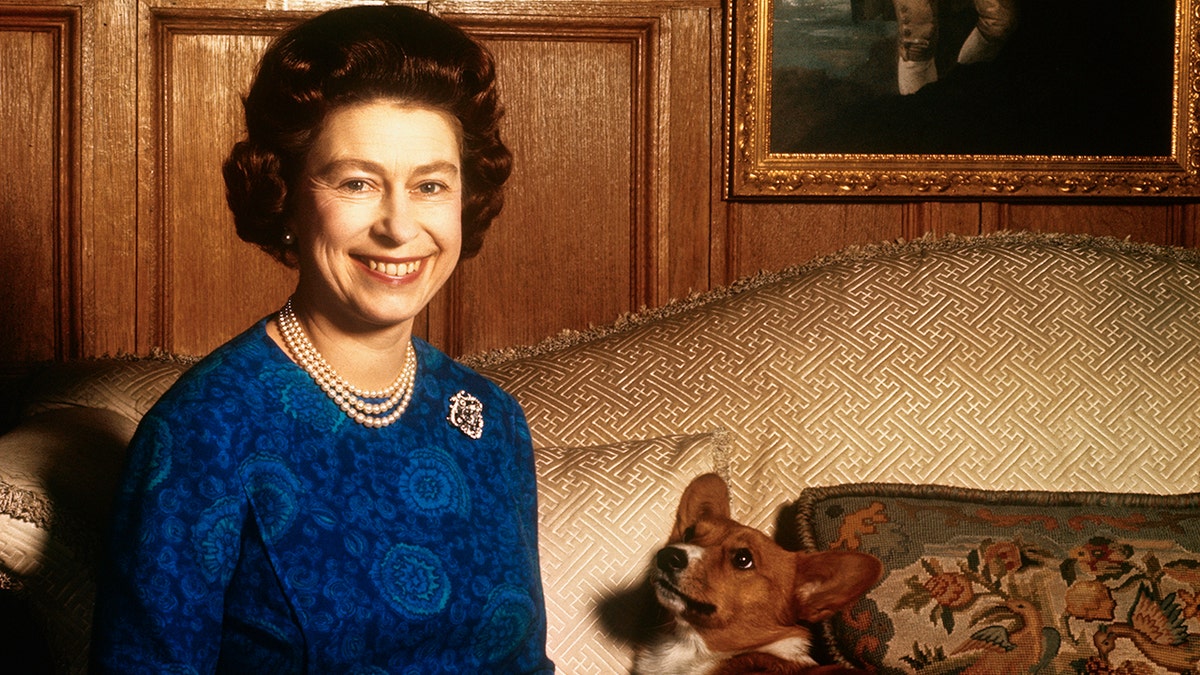 Queen Elizabeth II smiling in a blue dress with her corgi at Sandringham House