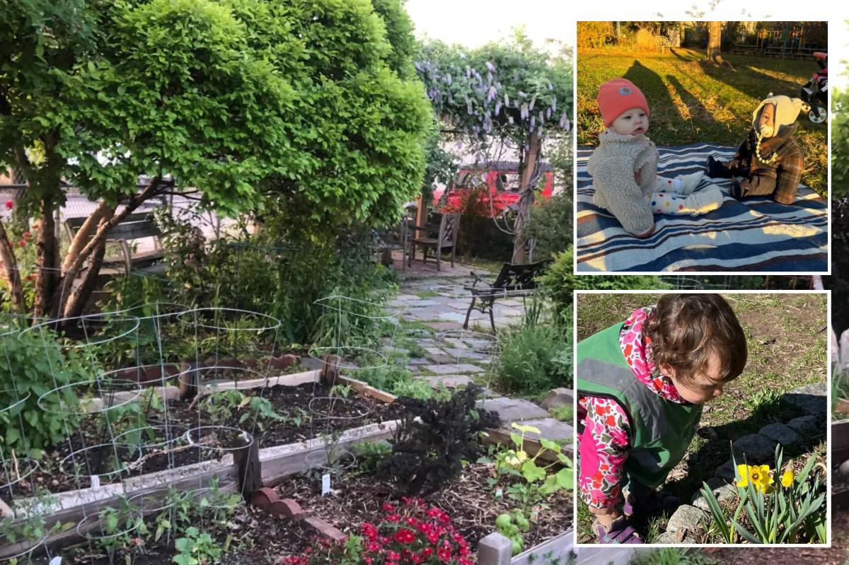 Elite Minds Montessori fighting for access to Red Hook garden