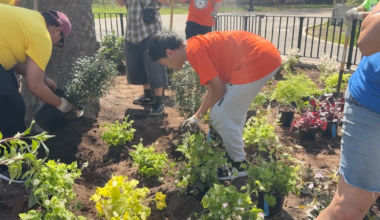 Brooklyn middle schoolers plant the first pollinator garden in a Bay Ridge park