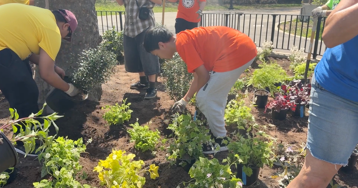 Brooklyn middle schoolers plant the first pollinator garden in a Bay Ridge park
