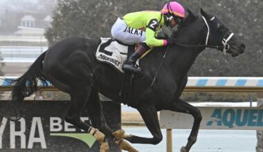 Illmatic and Sculcos Folly square off in NYSSS Mind Your Biscuits