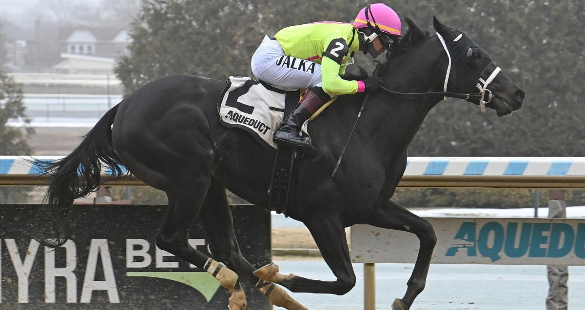 Illmatic and Sculcos Folly square off in NYSSS Mind Your Biscuits