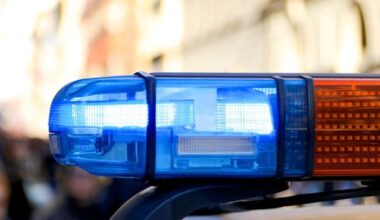 Brooklyn Woman Arrested After $50K In Items Stolen From Nassau County Stores: Police