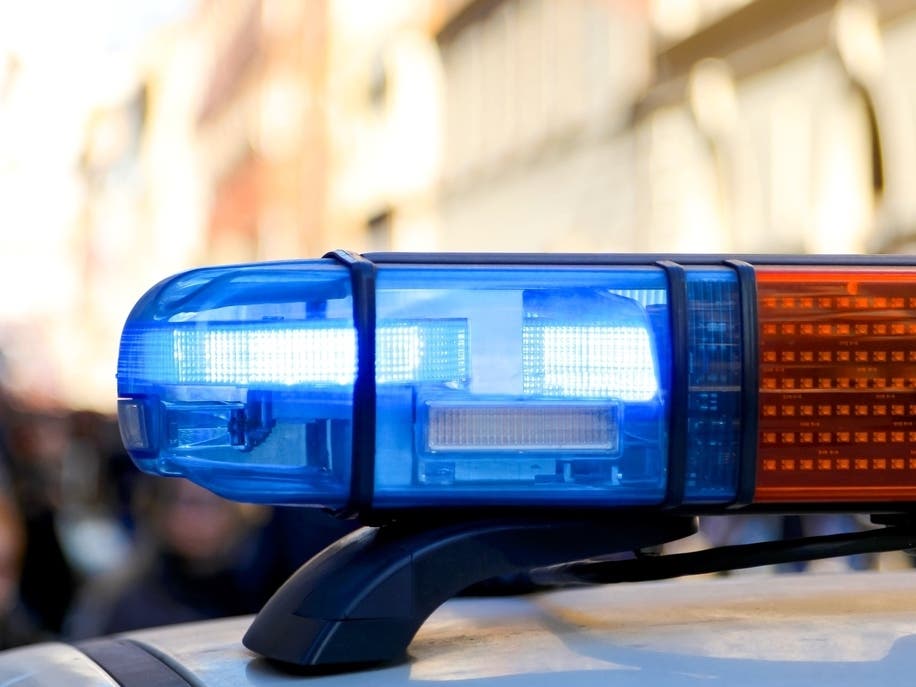 Brooklyn Woman Arrested After $50K In Items Stolen From Nassau County Stores: Police