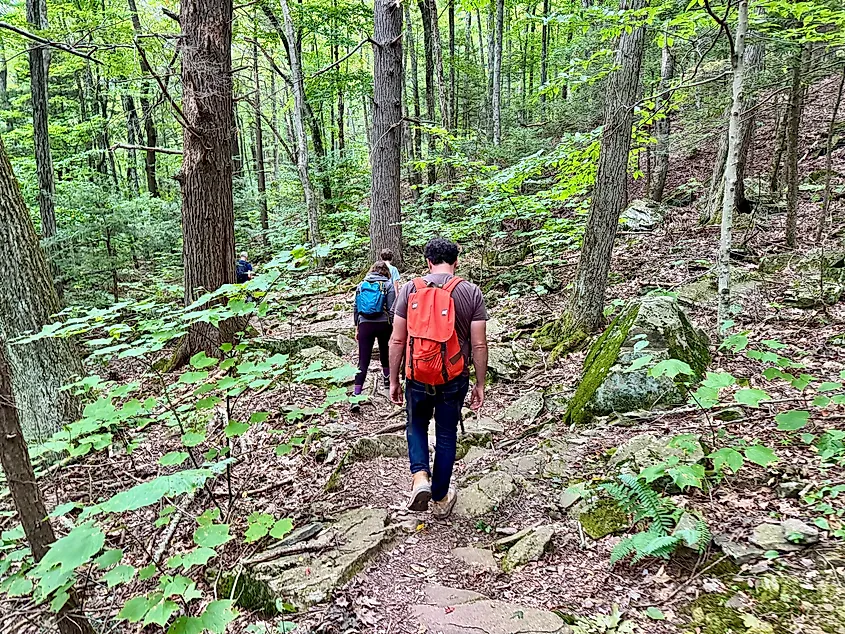 Hiking trail in the Catskill Mountains, New York.