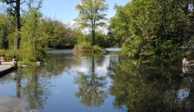Neon Pink Birds Take Flight In Brooklyn Park With New Sculpture