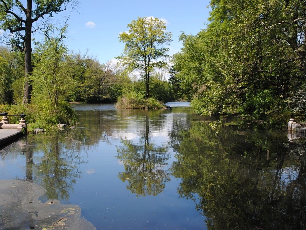 Neon Pink Birds Take Flight In Brooklyn Park With New Sculpture