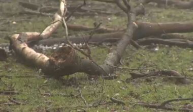 Severe storms bring hail, heavy rain to parts of N.Y.