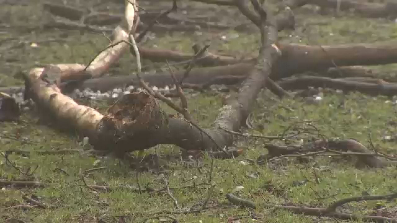 Severe storms bring hail, heavy rain to parts of N.Y.