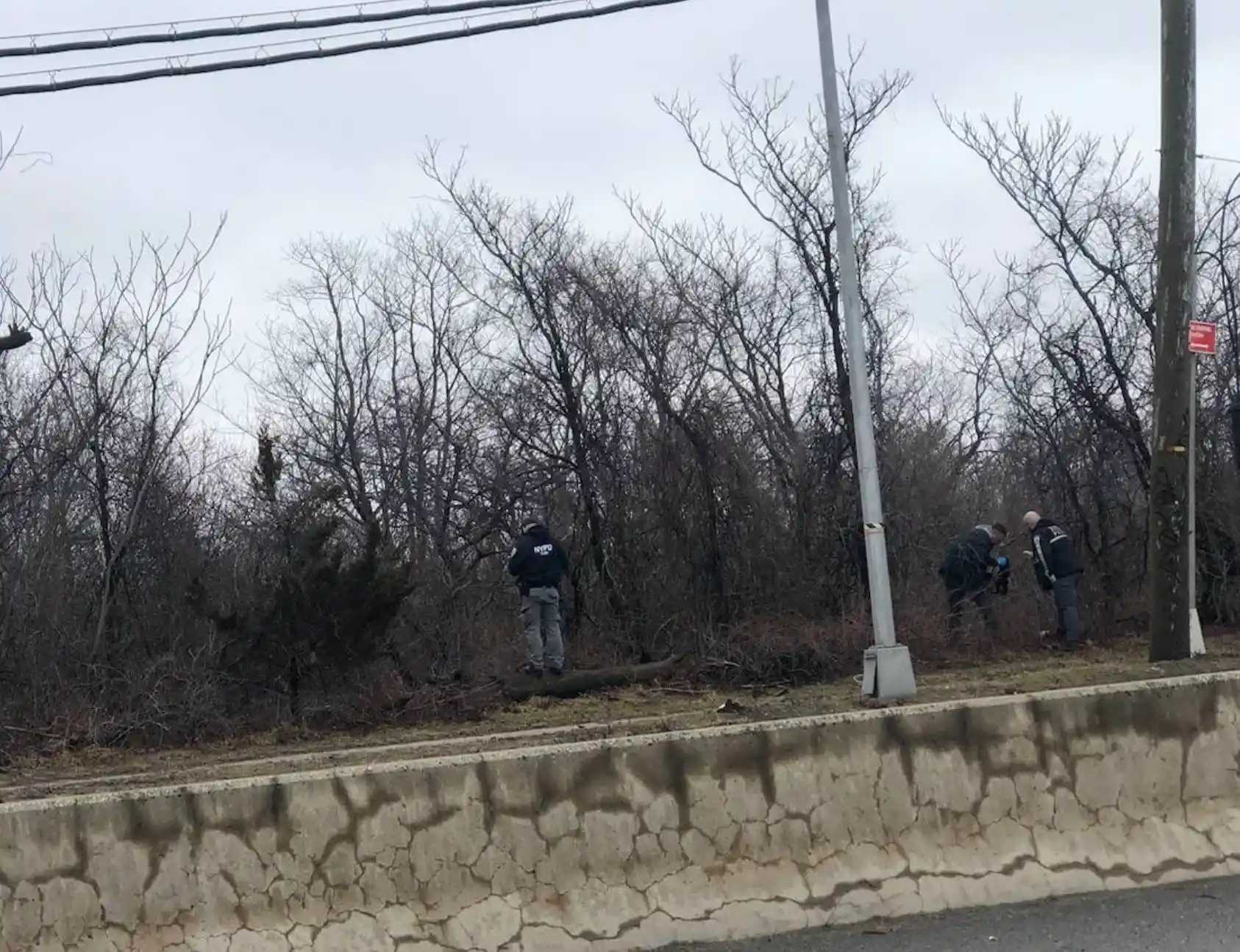 Ali’s head was discovered on March 5 inside the Jamaica Bay Wildlife Refuge in Broad Channel. Police later retrieved other body parts during an extensive search. 