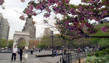 The arch in Washington Square Park is framed by spring blossoms. (AP Photo/Richrd Drew)