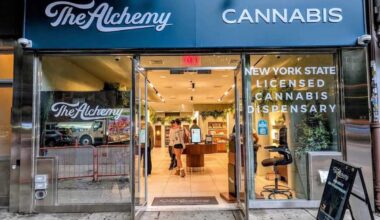 Inside The Alchemy’s vision for cannabis in NYC