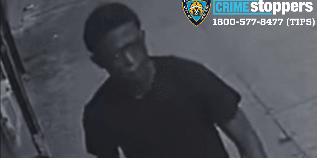 Suspect sought in beating of 9-year-old boy at Bronx park