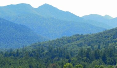 Management recommendations for high use Forest Preserve areas released