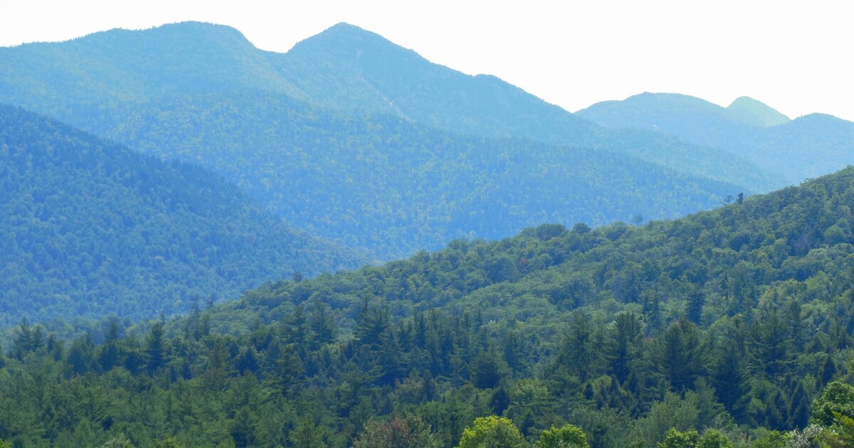 Management recommendations for high use Forest Preserve areas released