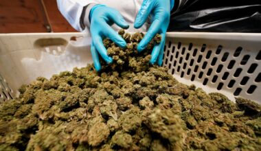 Is recreational cannabis still considered taboo in N.Y.?