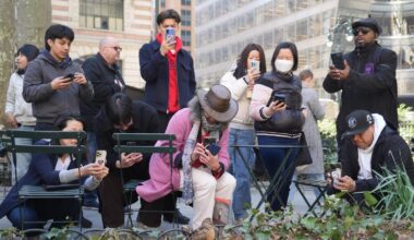 New Yorkers flock to Manhattan park for lovable woodcocks' bobbing strut