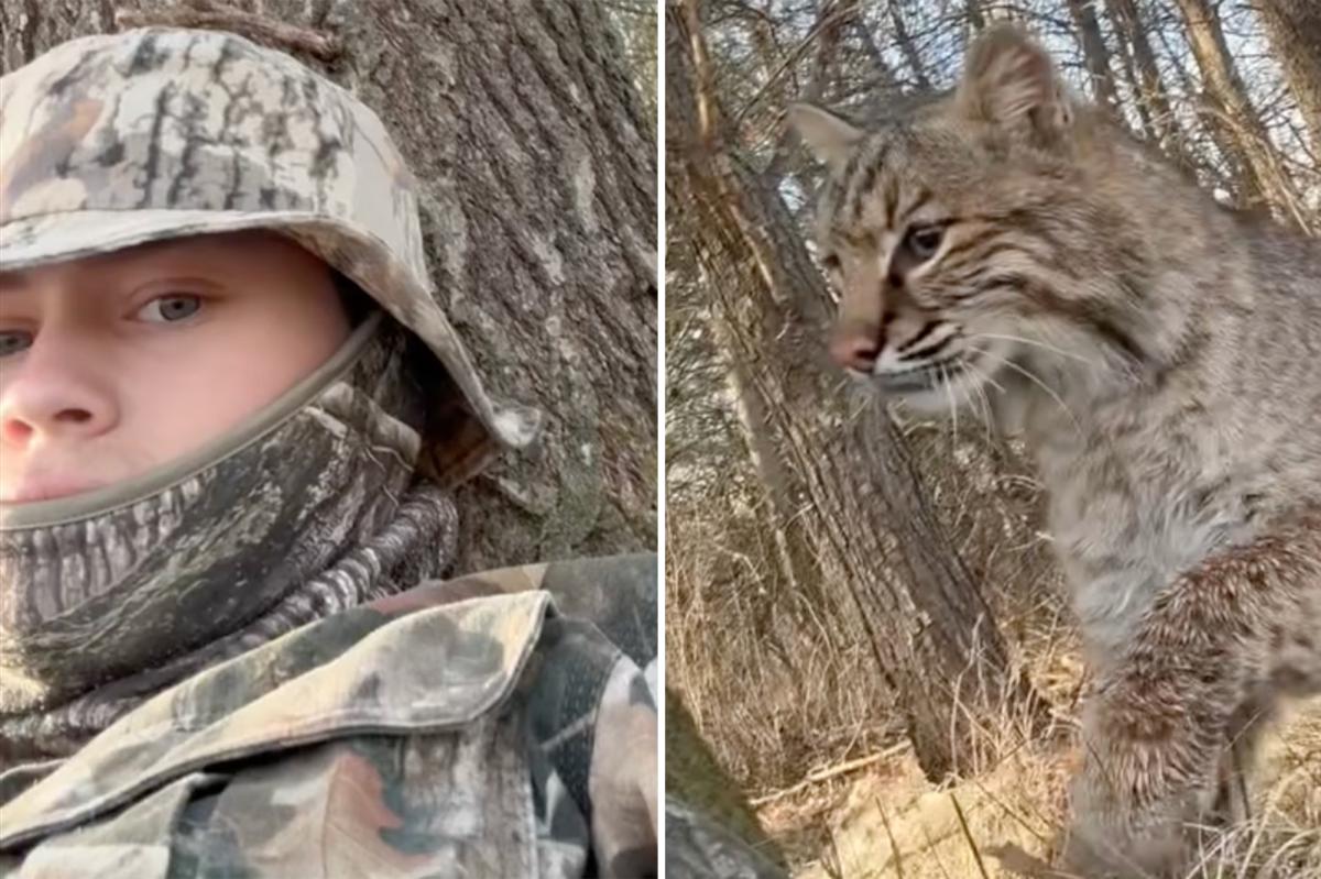 Wisconsin teen Carson Bender mauled by bobcat during turkey hunt in terrifying viral video