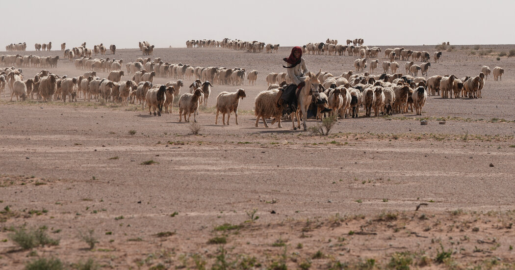 In Iraqi Desert, Two Israeli Outposts Were Kept Secret for Months