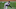 New York Yankees starting pitcher Elmer Rodriguez throws a baseball New York Yankees starting pitcher Elmer Rodriguez throws a baseball