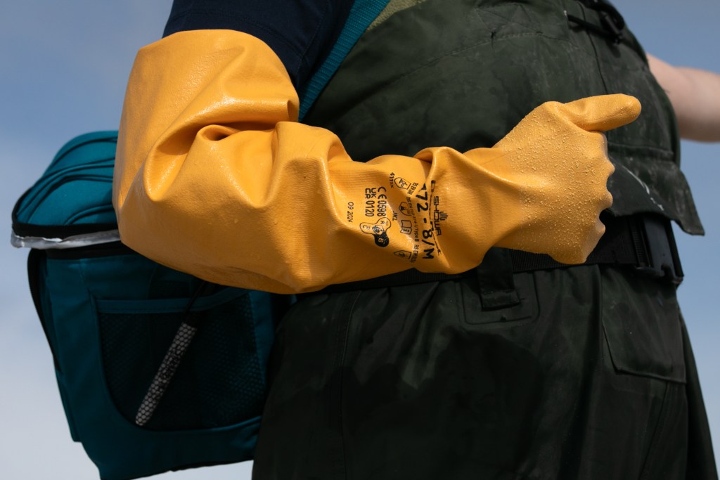 Department of Health Research Assistant Jessica Bonamusa wears rubber glovers to take beach water samples.