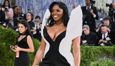 Some New York City Democrats Went to the Met Gala