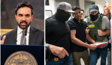 New City Hall report documents explosion of ICE arrests in NYC