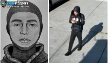 Woman, 59, raped in Brooklyn park in broad daylight